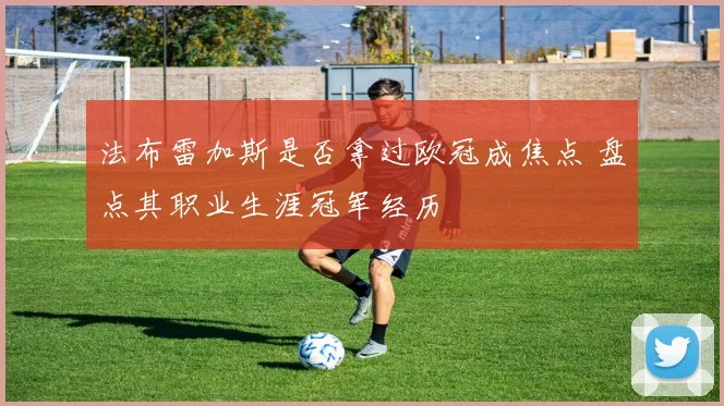 法布雷加斯是否拿过欧冠成焦点 盘点其职业生涯冠军经历