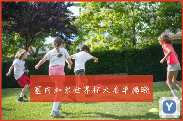 塞内加尔世界杯大名单揭晓
