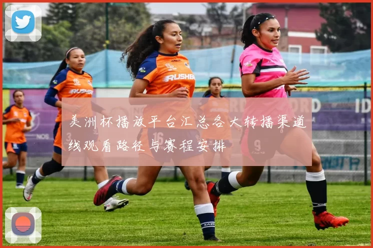 美洲杯播放平台汇总各大转播渠道线观看路径与赛程安排