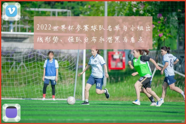2022世界杯参赛球队名单与小组出线形势、强队分布和潜黑马看点