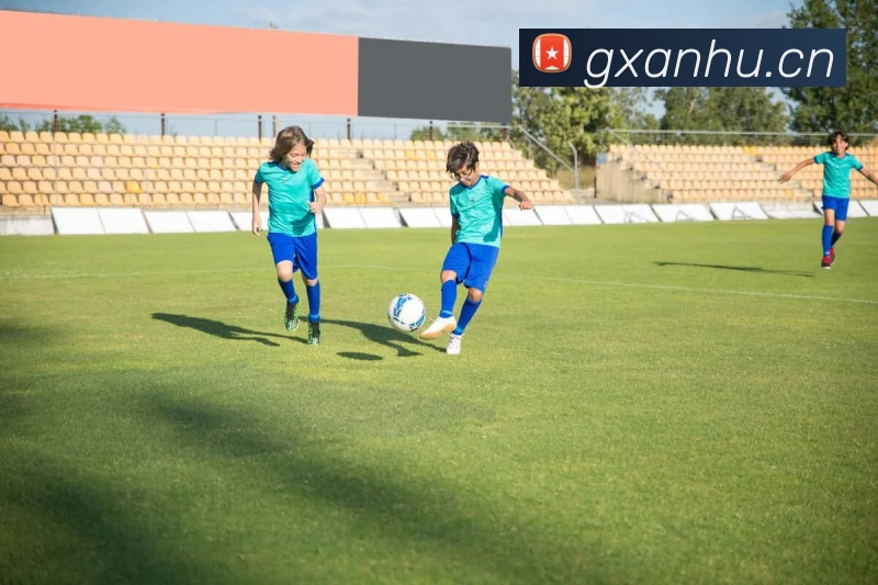 多媒体互动体验